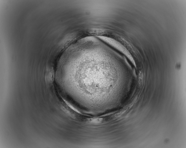 X0000099500474200805291132