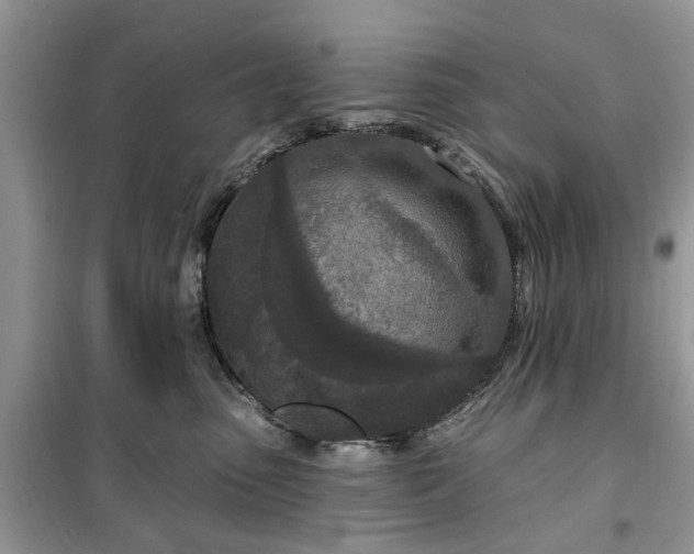 X0000099500475200805291132