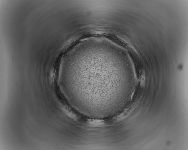 X0000099500476200805291132