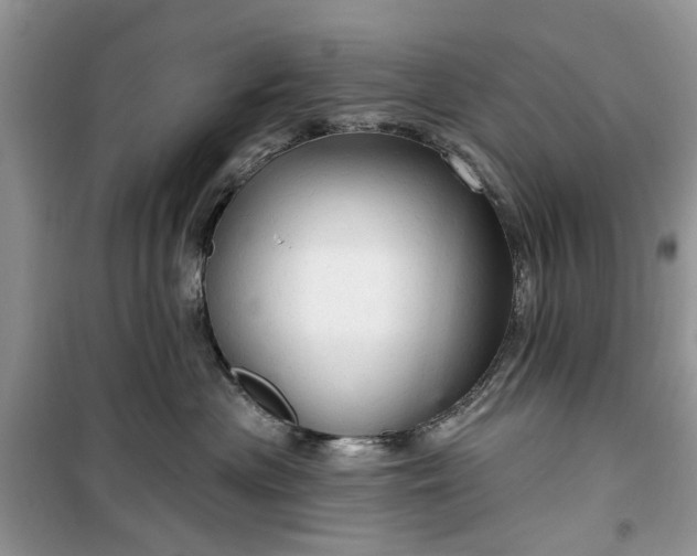 X0000099500477200805291132