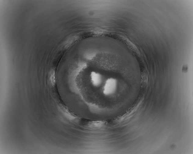 X0000099500479200805291132