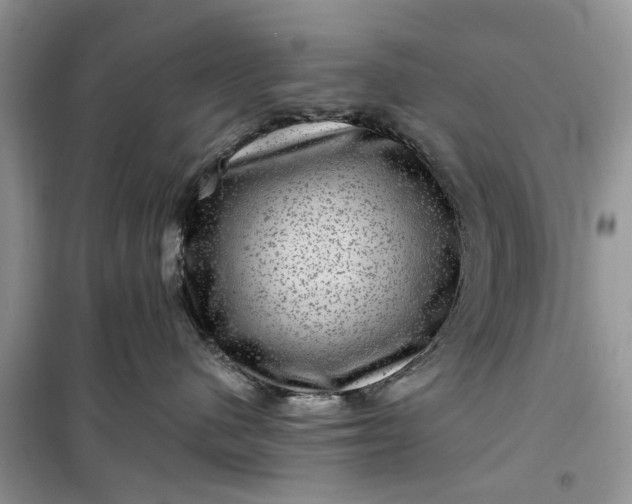 X0000099500480200805291132