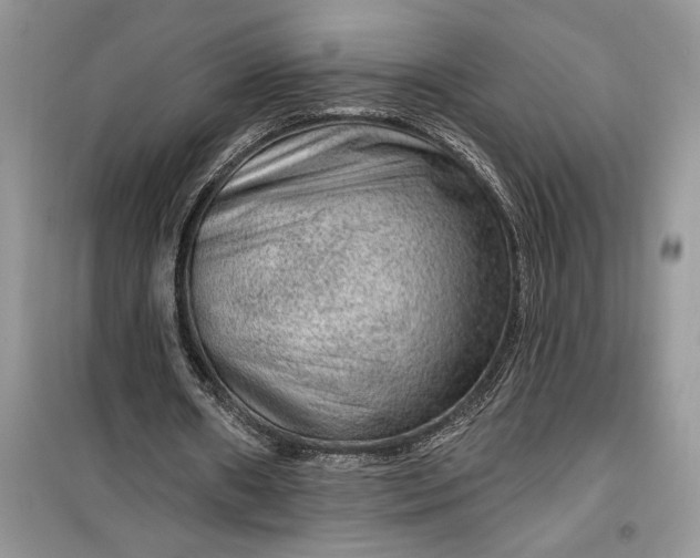 X0000099500482200805291131