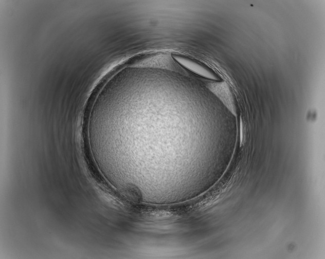 X0000099500483200805291131