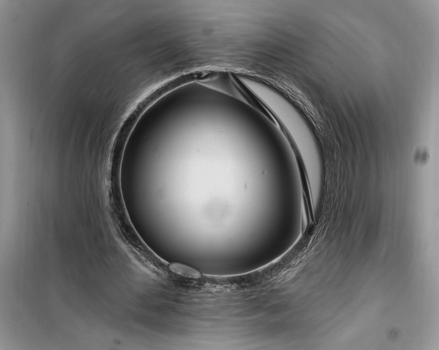 X0000099500484200805291131