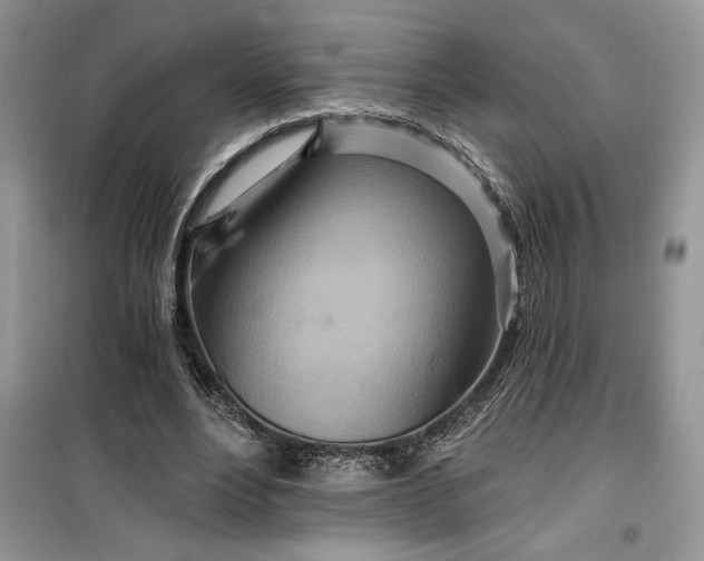 X0000099500488200805291131