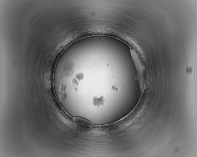 X0000099500489200805291131