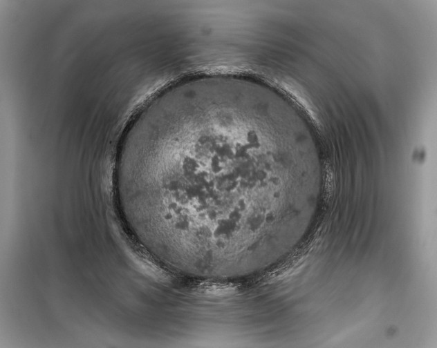 X0000099500491200805291131