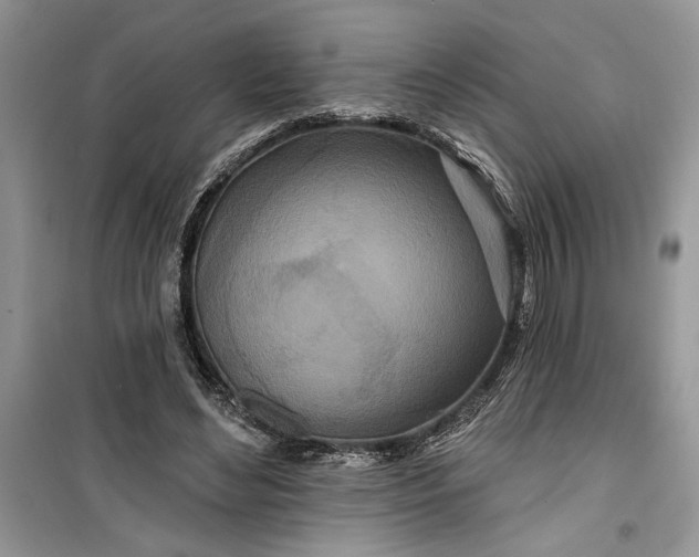 X0000099500492200805291131