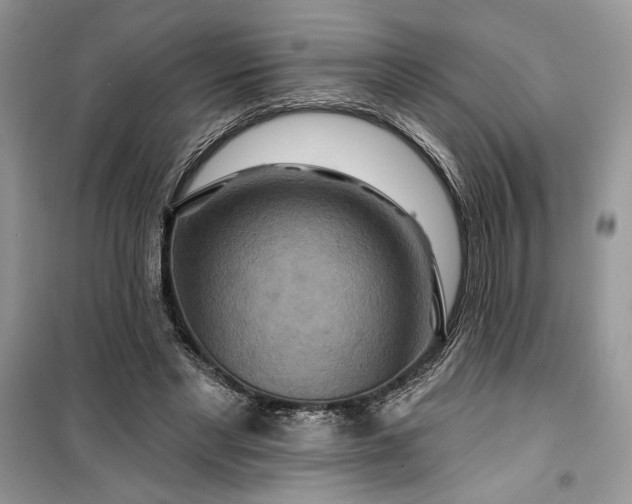 X0000099500493200805291131