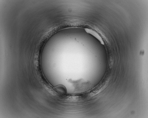 X0000099500497200805291131