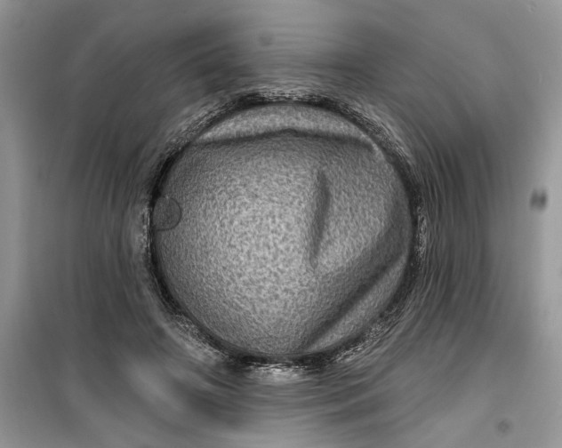 X0000099500498200805291131