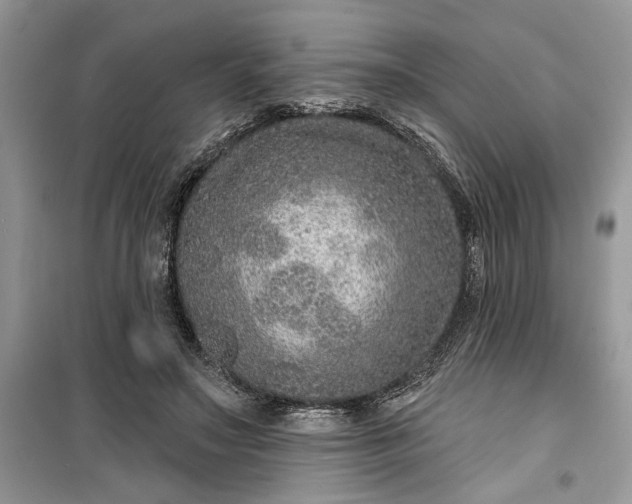 X0000099500499200805291131