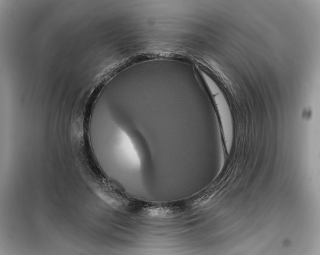 X0000099500500200805291131