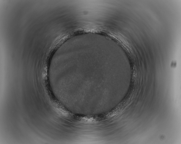 X0000099500502200805291131