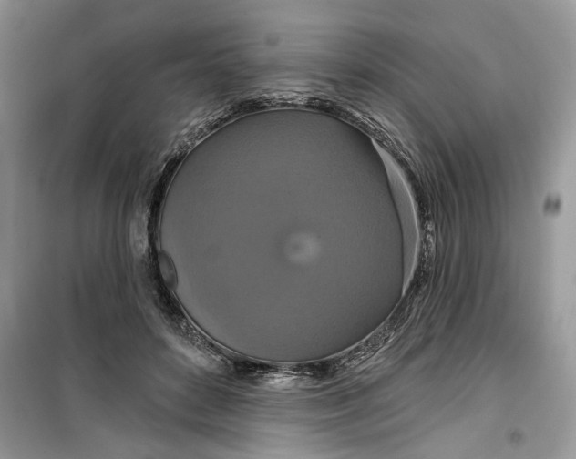 X0000099500504200805291131