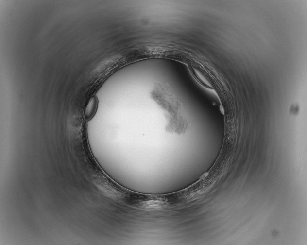 X0000099500505200805291131