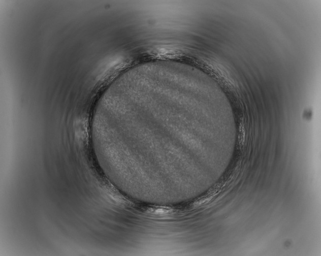 X0000099500506200805291131