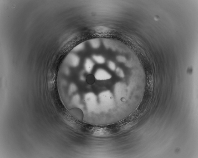 X0000099500507200805291131