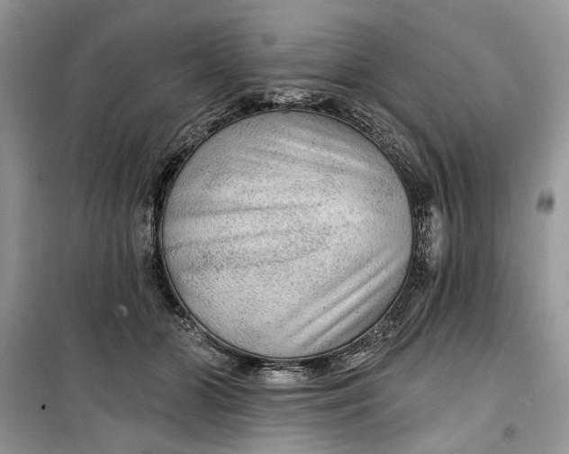 X0000099500510200805291131