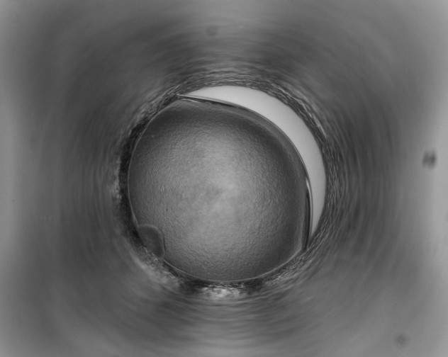 X0000099500512200805291131