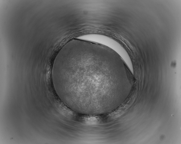 X0000099500513200805291131