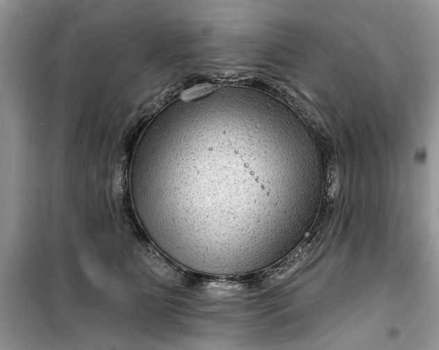 X0000099500515200805291131