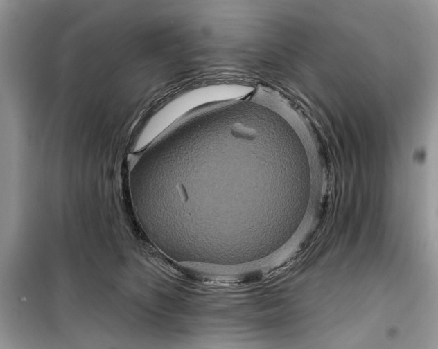 X0000099500516200805291131