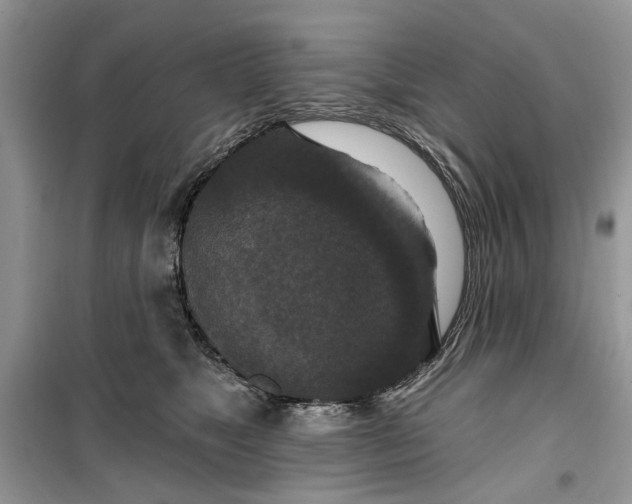 X0000099500517200805291131