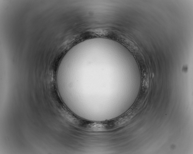 X0000099500518200805291131