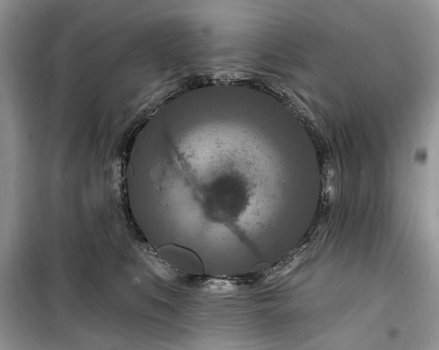 X0000099500519200805291131