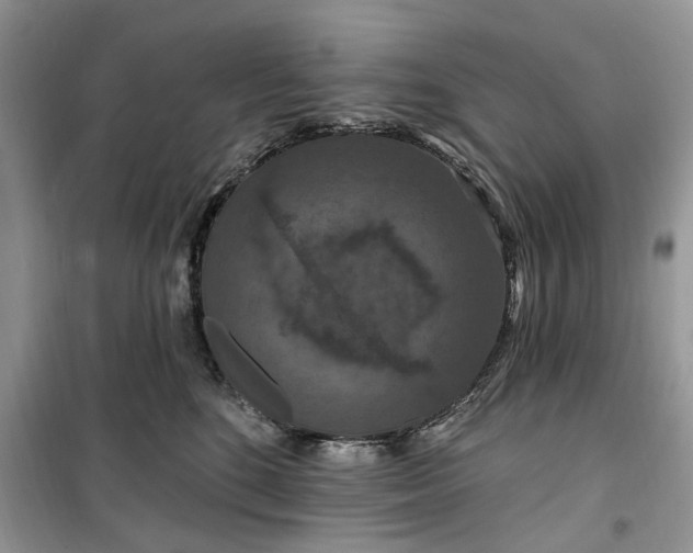 X0000099500520200805291131