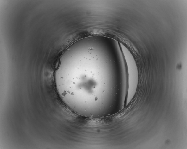 X0000099500521200805291131