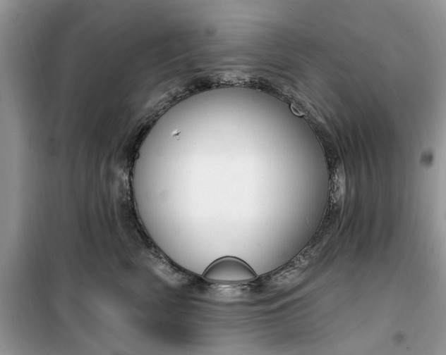 X0000099500522200805291131