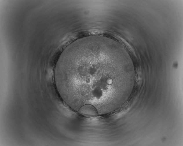 X0000099500523200805291131