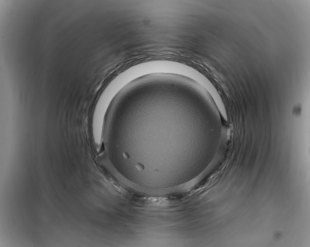 X0000099500524200805291131