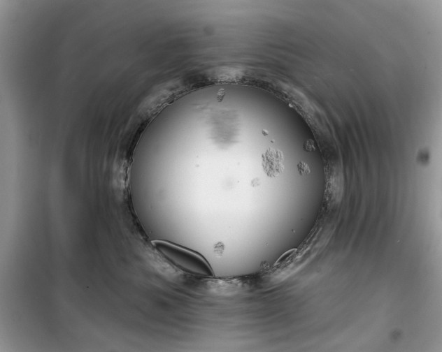 X0000099500525200805291131