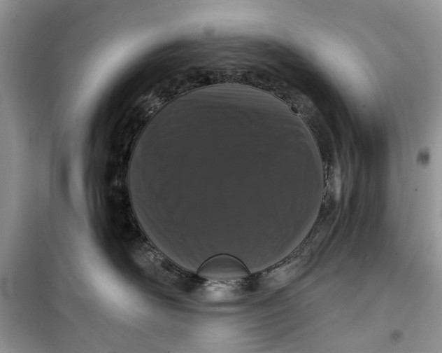 X0000099500526200805291131