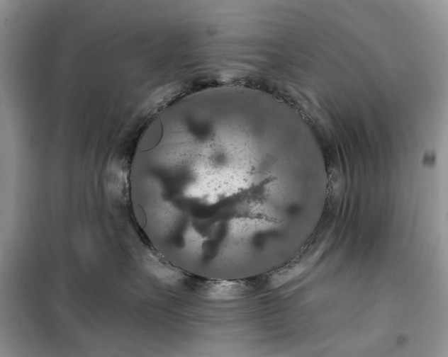 X0000099500527200805291131