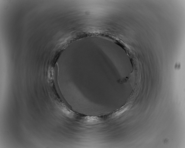 X0000099500528200805291131