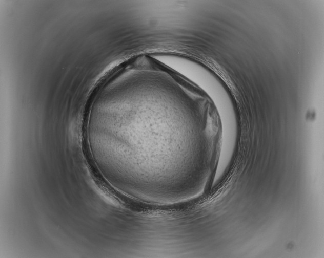 X0000099500530200805291130