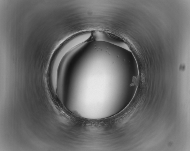 X0000099500532200805291130