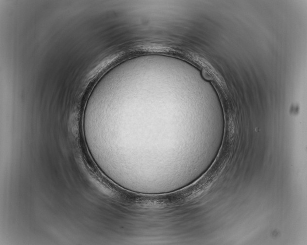 X0000099500533200805291130