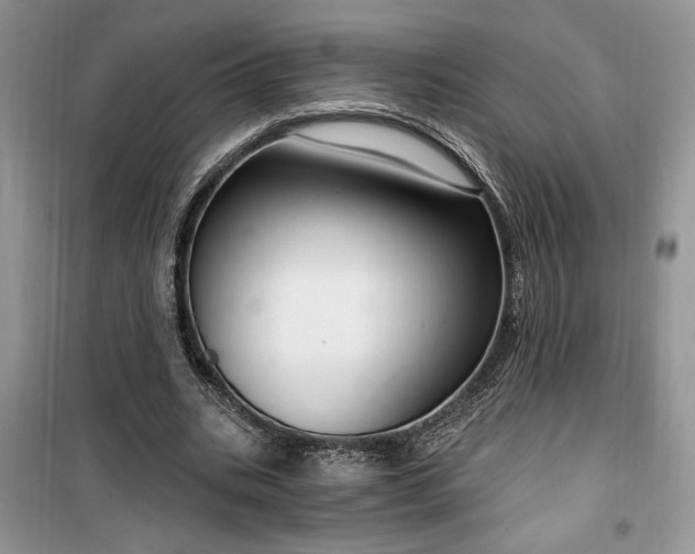 X0000099500535200805291130