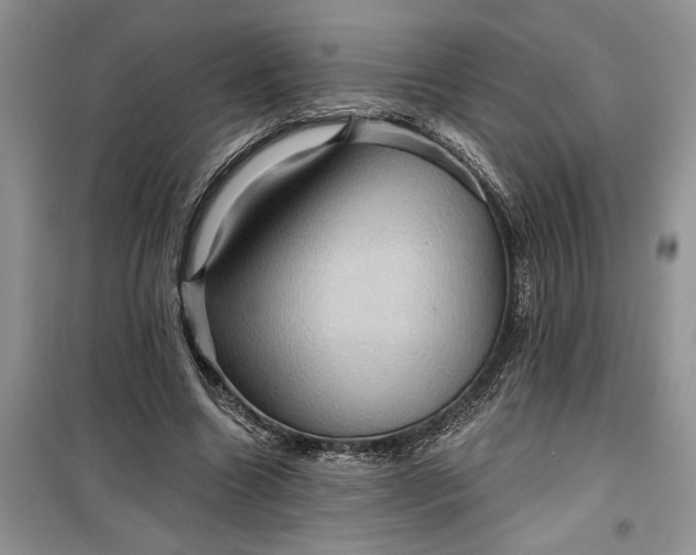 X0000099500538200805291130