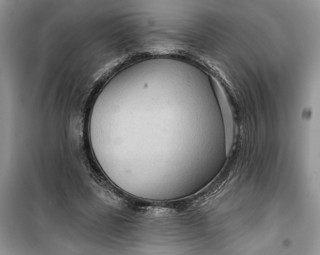 X0000099500539200805291130