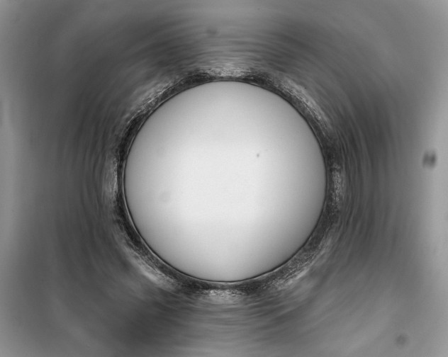 X0000099500541200805291130