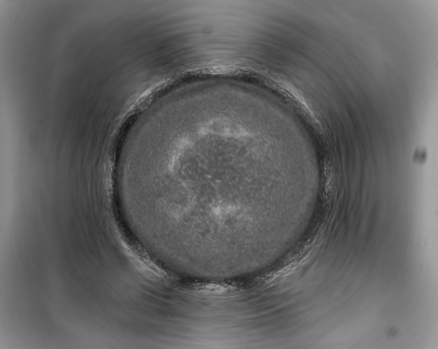 X0000099500542200805291130