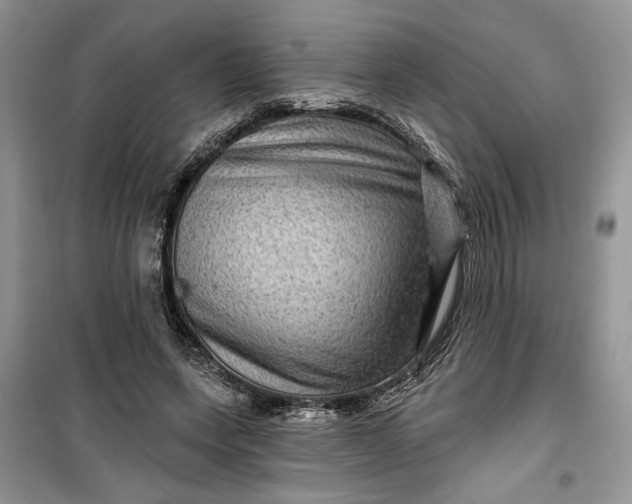 X0000099500543200805291130