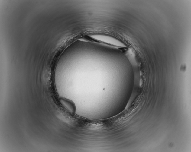 X0000099500548200805291130